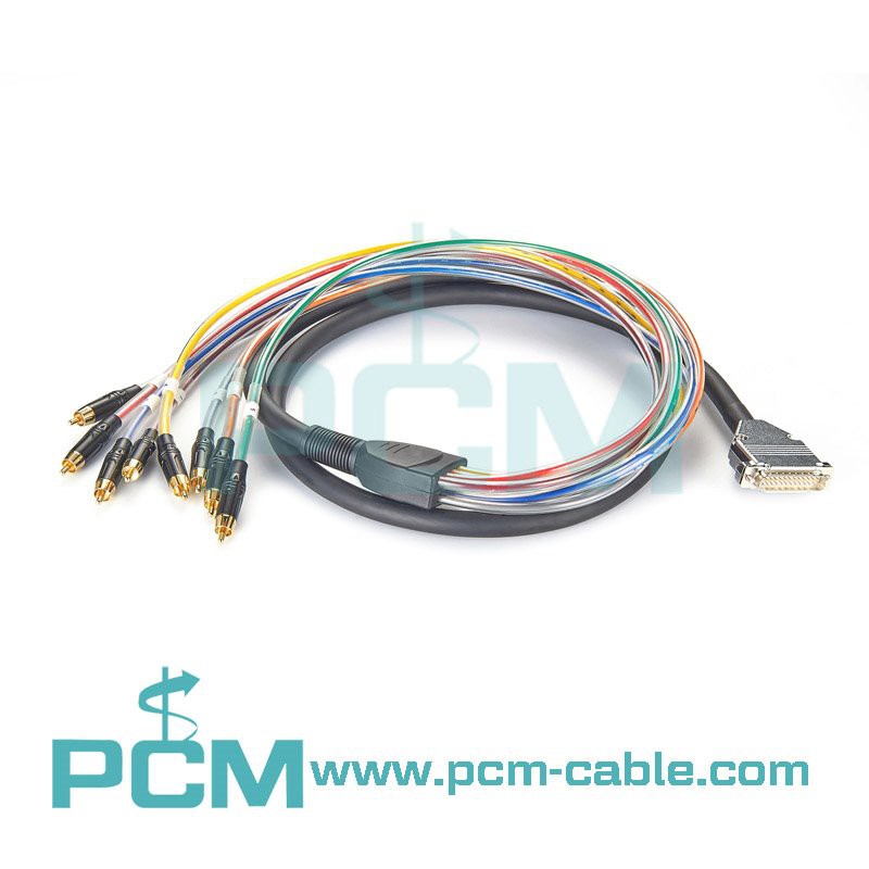 DB25 to 8 x RCA Snake cable