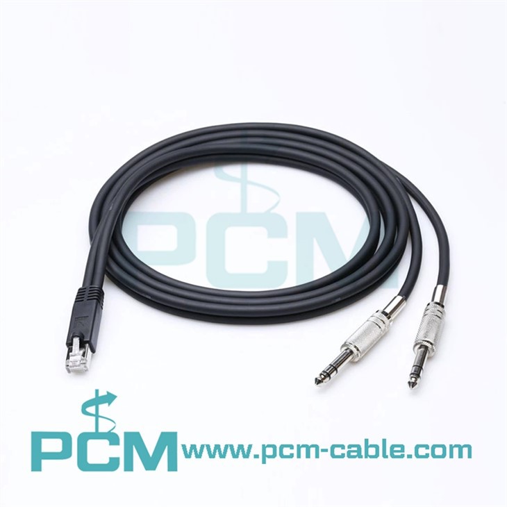 Axia Adapter Dual 1/4 TRS To RJ45 Male