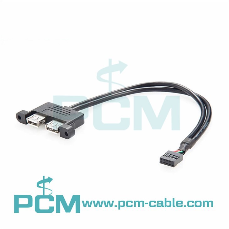 Panel Mount Dual USB To 9 Pin Connector