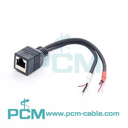 Dual Unterminated To RJ45 Female Adapter