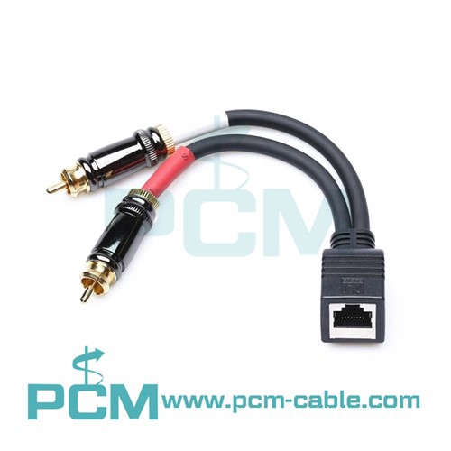 RJ45 Female To Dual RCA Male Adapter Cable for AXIA