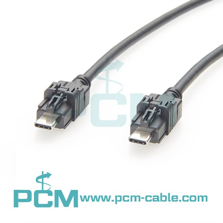 Automotive USB C Cable With Mini HSBridge Connector