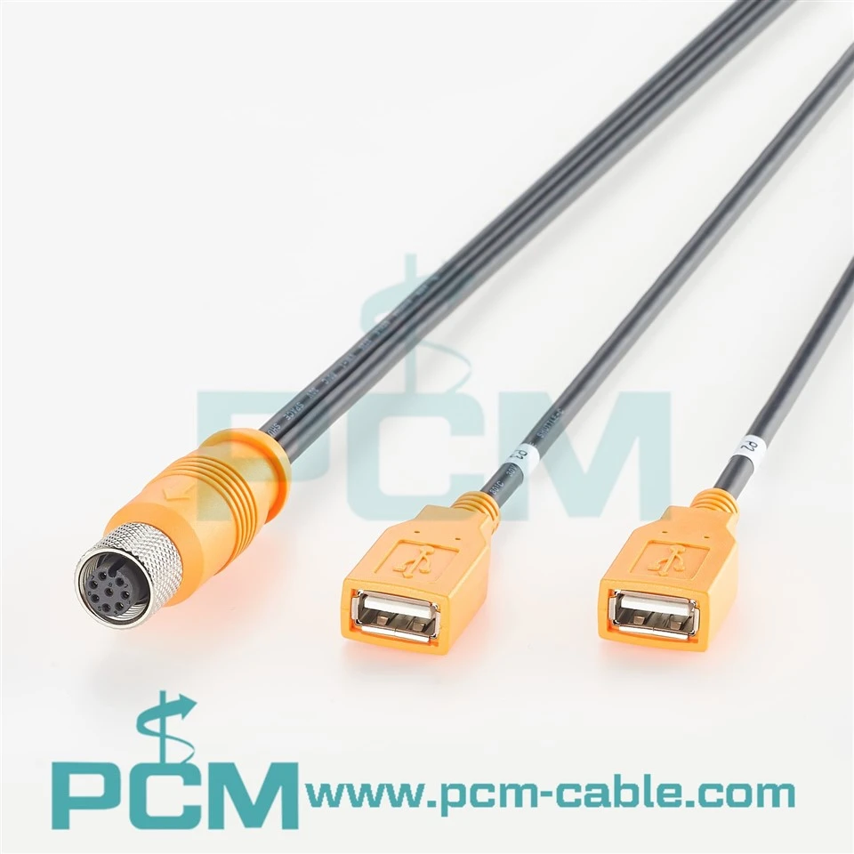 M12 A Code 8 Pin to Dual USB A Cable best