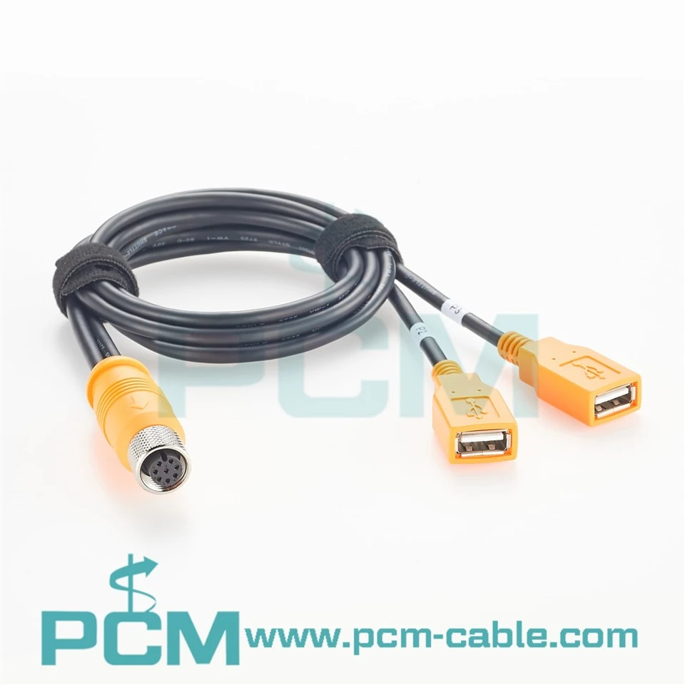 M12 A Code 8 Pin to Dual USB A Cable factory