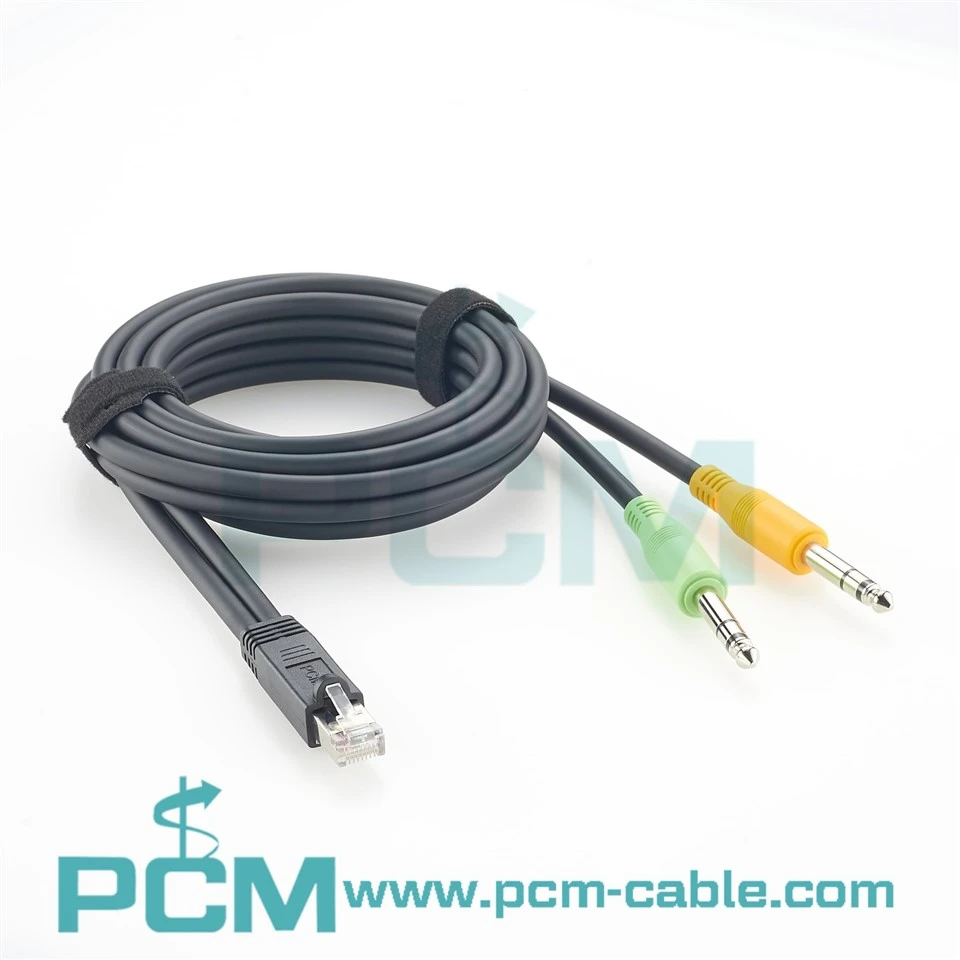 RJ45 Male To Dual 6.3mm 1/4